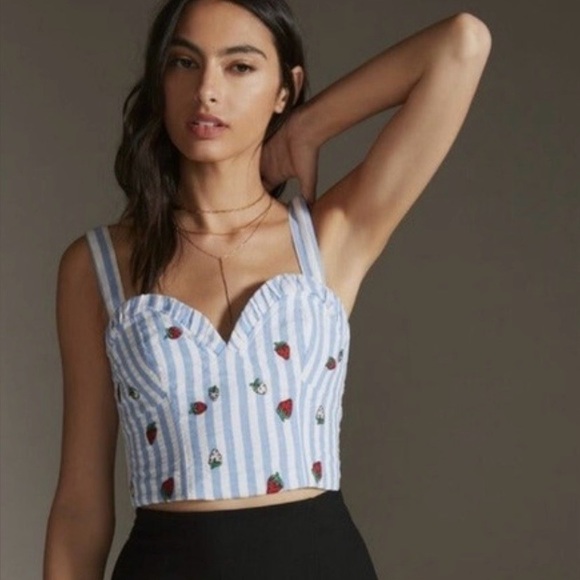 Anthropologie Tops - Anthropologie Blue & White Striped Strawberry Embroidered Cropped Tank